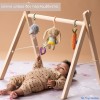 Taf Toys Παιχνίδια Δραστηριοτήτων Activity Toys Kit 13225